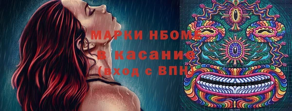 метадон Алексин