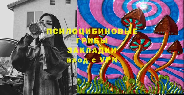 метадон Алексин