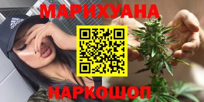 сатива Волжский