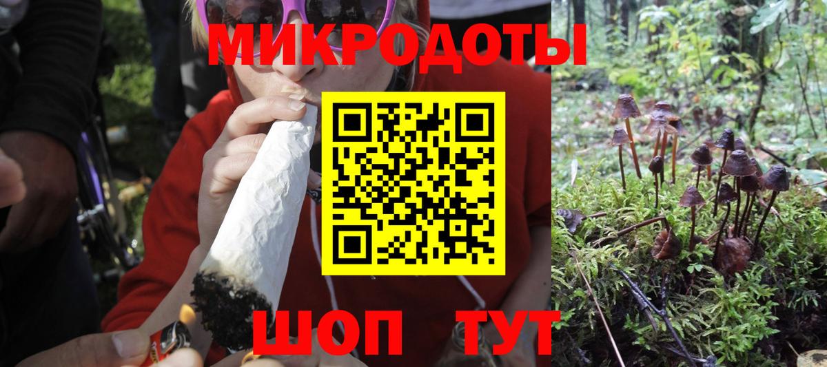 Псилоцибиновые грибы Psilocybe Ипатово